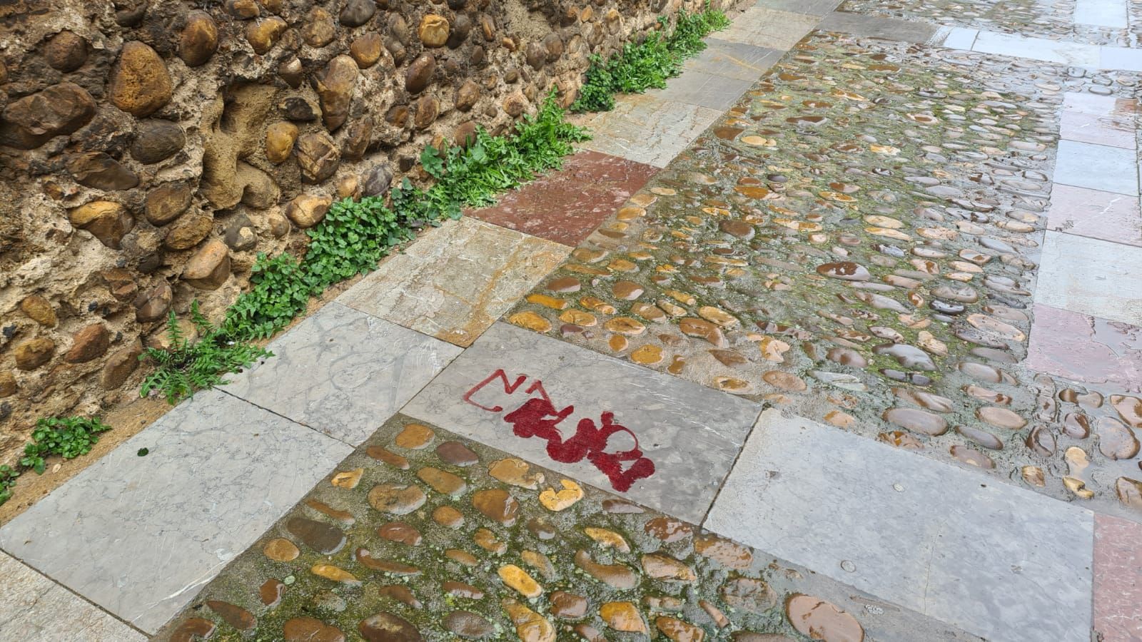 Así se encuentra el paseo de las Cercas de León