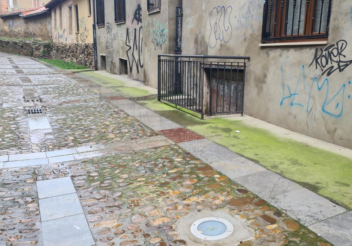Así se encuentra el paseo de las Cercas de León