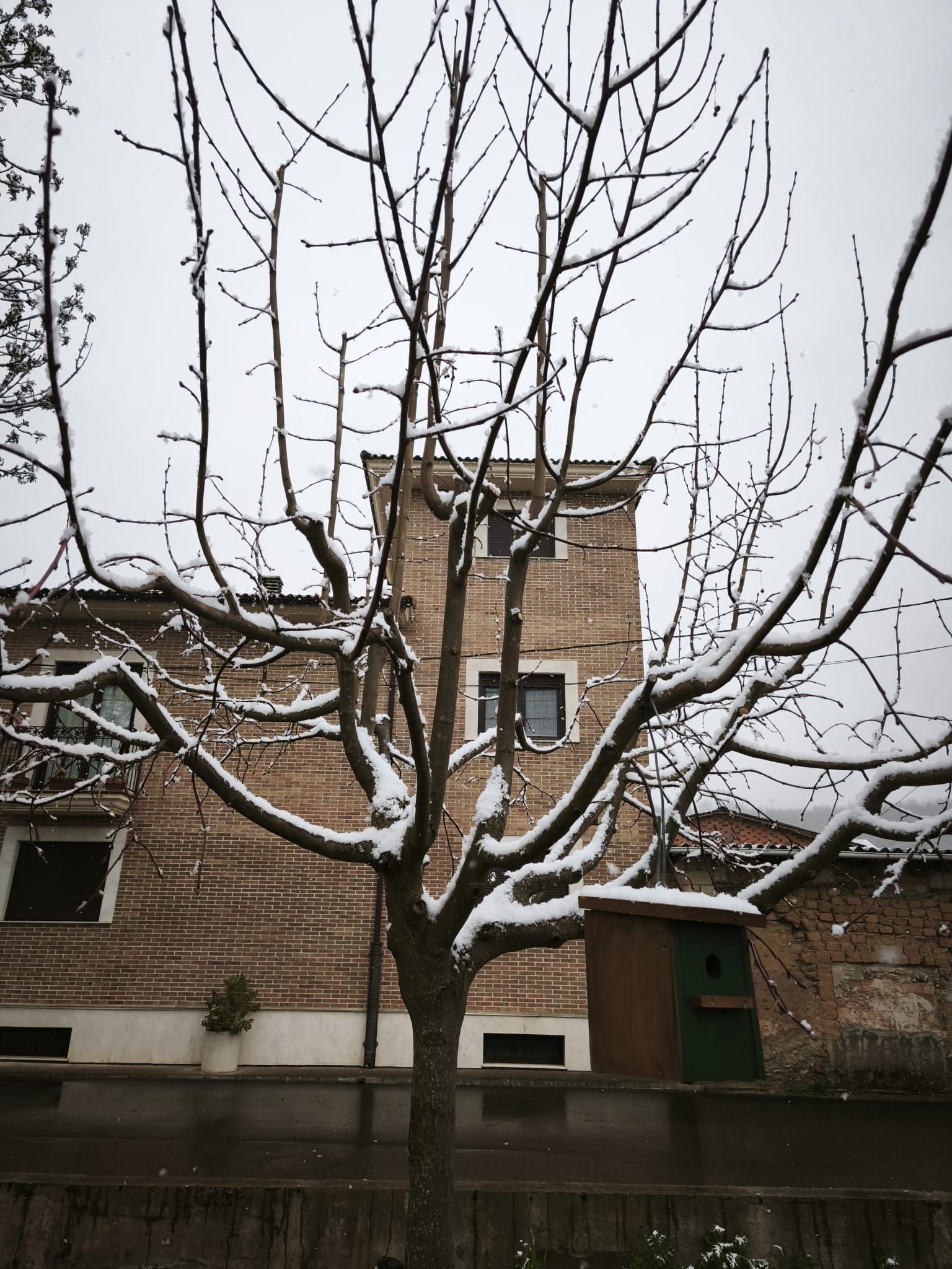 Nieve en Palacio de Torío