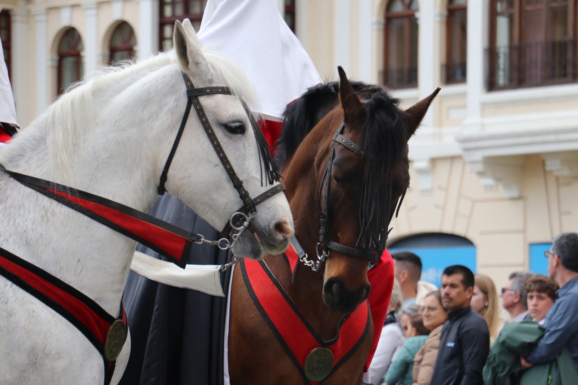 Las imágenes de la procesión de las Siete Palabras en León