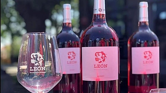 Los vinos de la DO León logran dos grandes oros y cinco oros en los premios Cinve y Virtus Lisboa