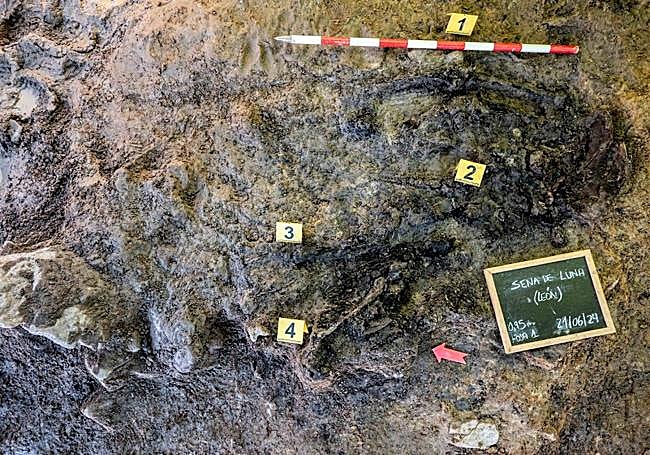 Exhumación en Sena de Luna.