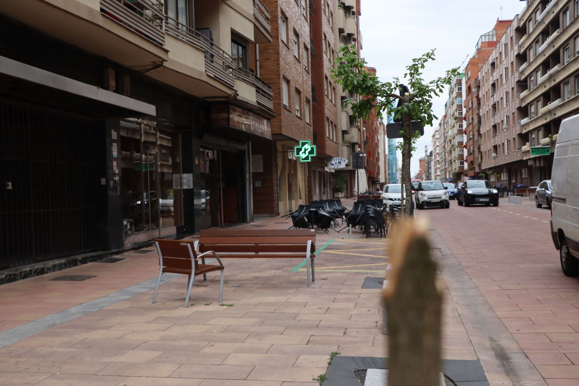 18 árboles destrozados en Padre Isla