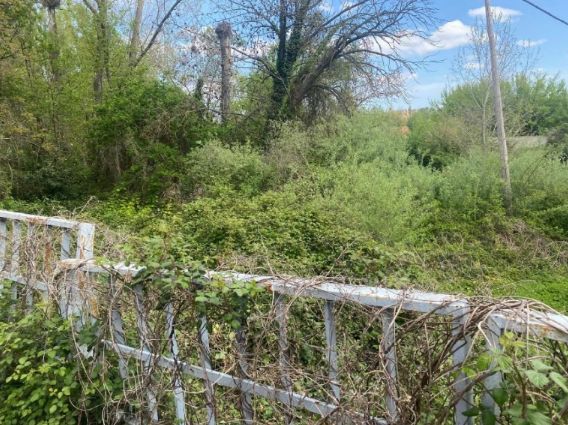 Las imágenes del abandono de Armunia