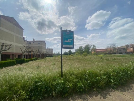 Las imágenes del abandono de Armunia