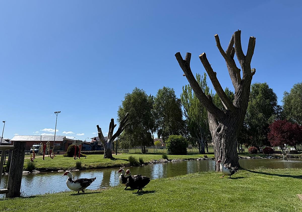 Parque de los Patos en San Andrés del Rabanedo.