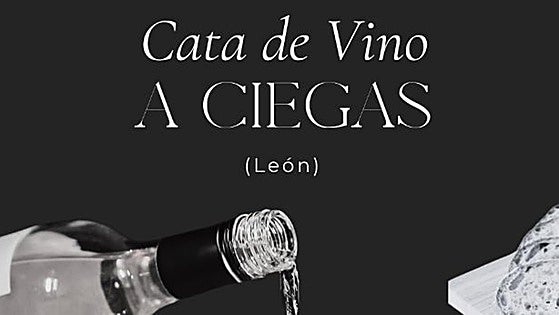 Una cata de vino a ciegas entre desconocidos que fusiona sabor y misterio