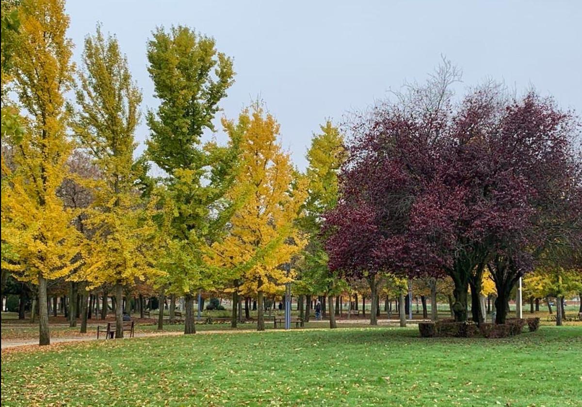 Cierran el parque de La Granja en León cinco días por control de plagas
