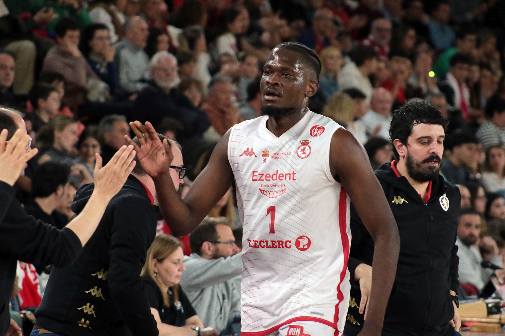 Las mejores imágenes del Cultural - Fibwi Palma