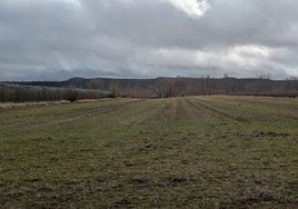 Imagen de archivo del campo en Léon.