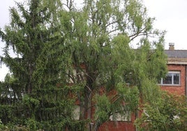 Imagen de archivo de una tormenta con granizo en León.