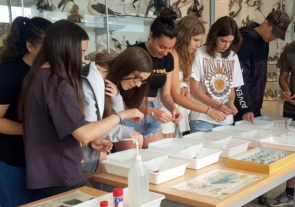 Jóvenes estudiantes participan en el campus