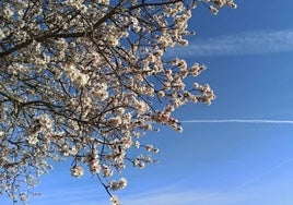 Primavera en León.
