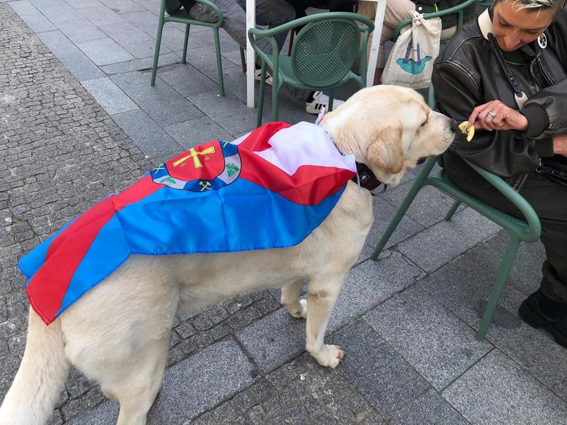 Así viven León y Ponferrada el derbi
