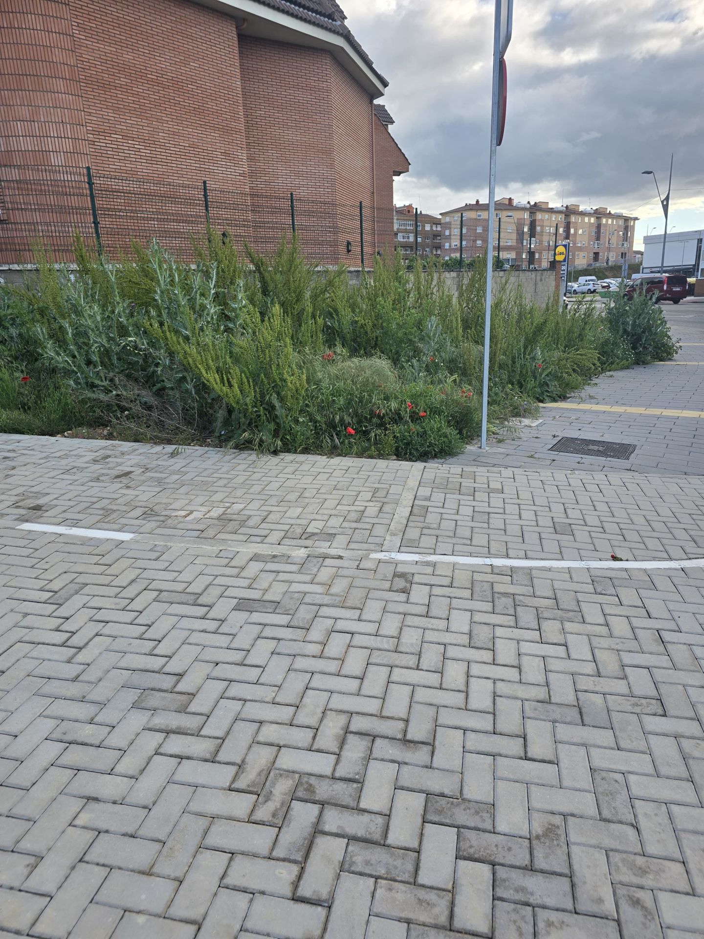 Nuevas quejas de vecinos de Trobajo del Camino