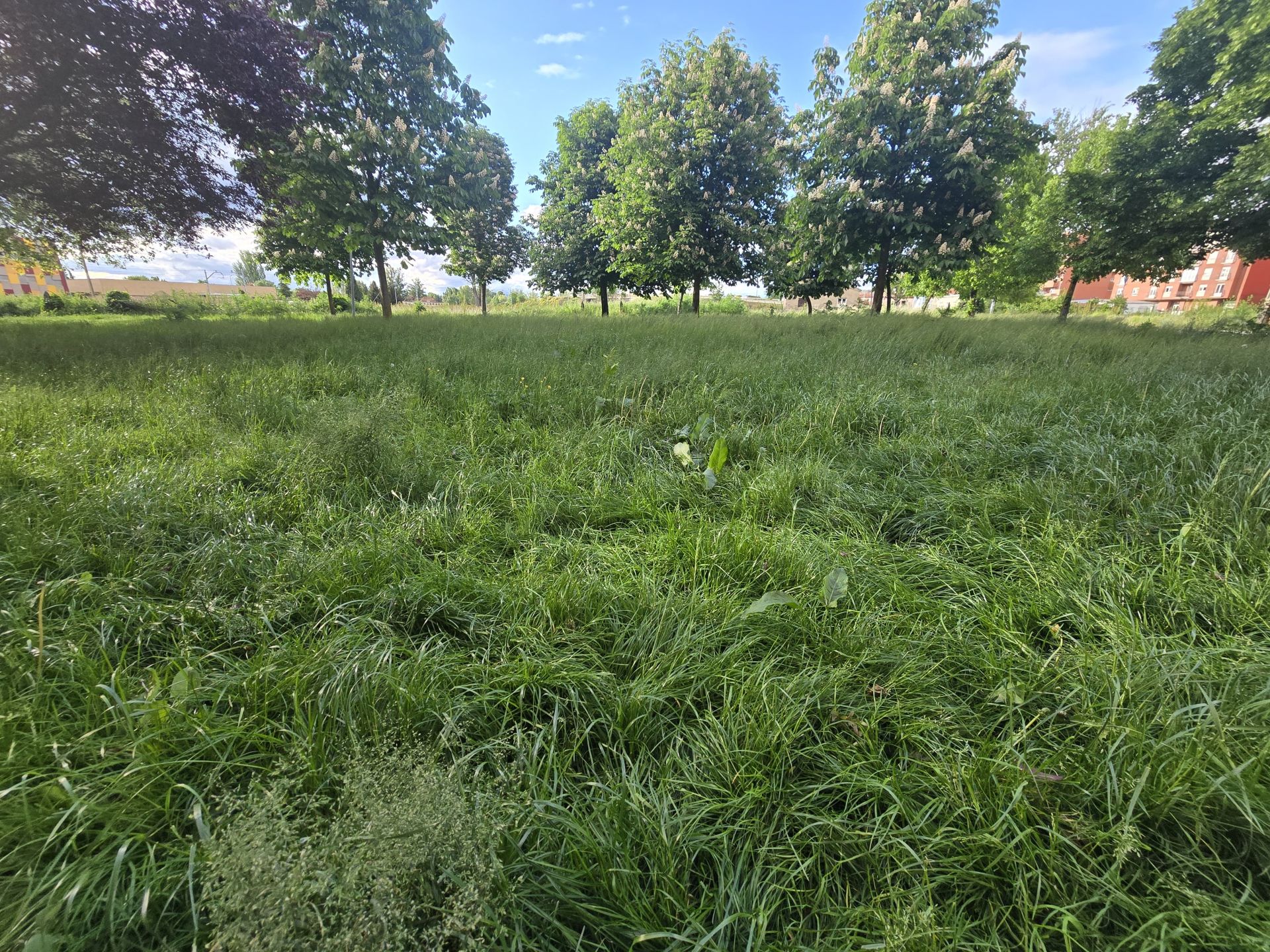 Nuevas quejas de vecinos de Trobajo del Camino