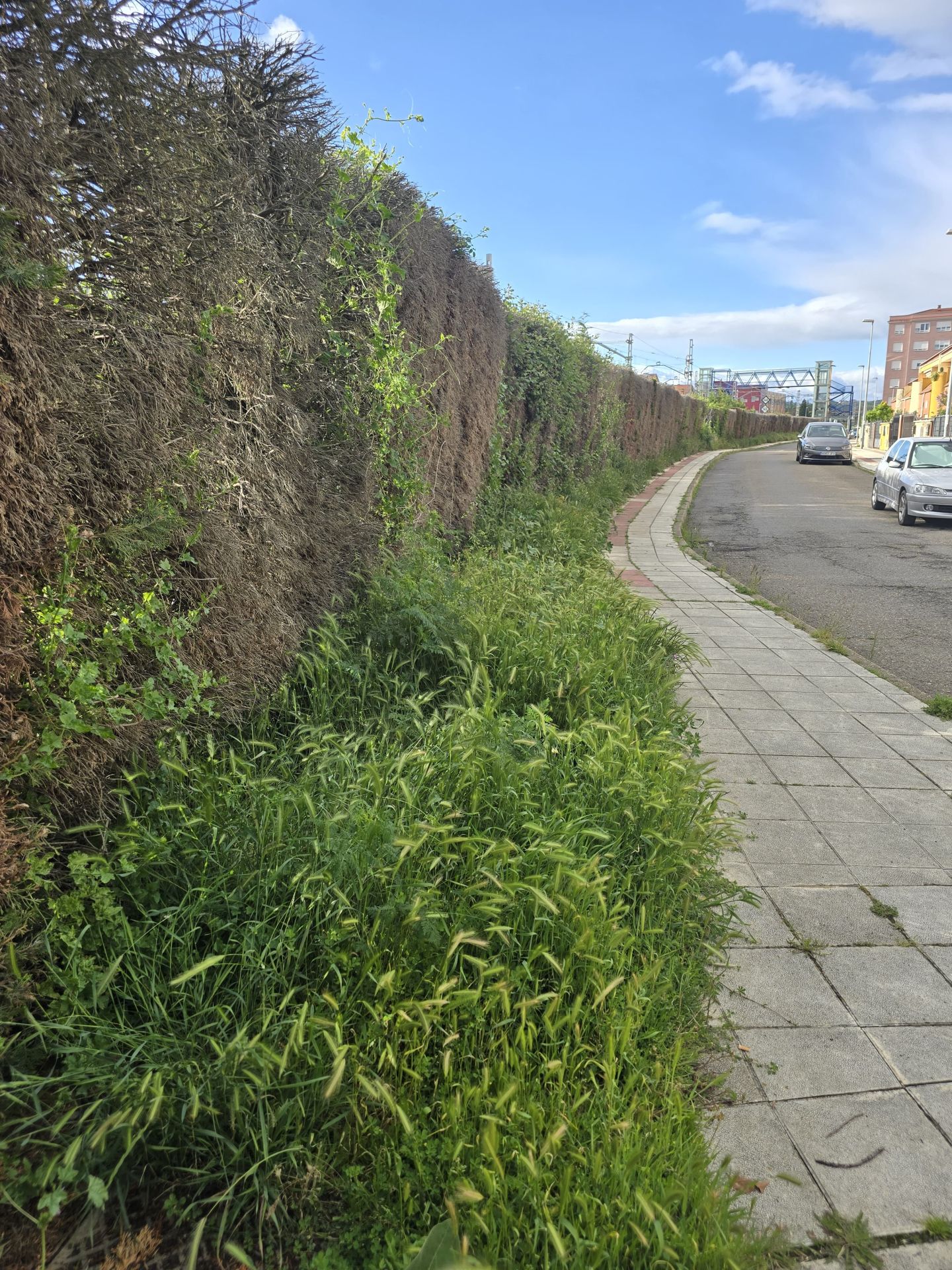 Nuevas quejas de vecinos de Trobajo del Camino