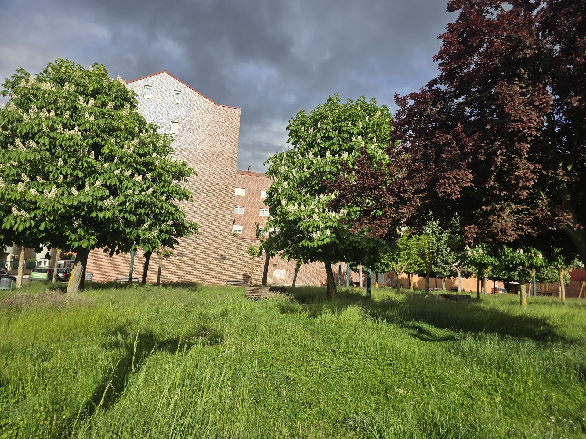 Nuevas quejas de vecinos de Trobajo del Camino