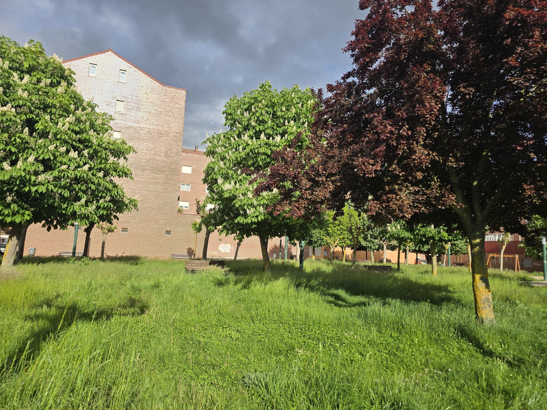 Nuevas quejas de vecinos de Trobajo del Camino