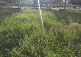 Estado del parque Juan Pedro Aparicio en Trobajo del Camino.