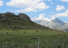 Imagen de archivo de pastos de la localidad de Cabrillanes.