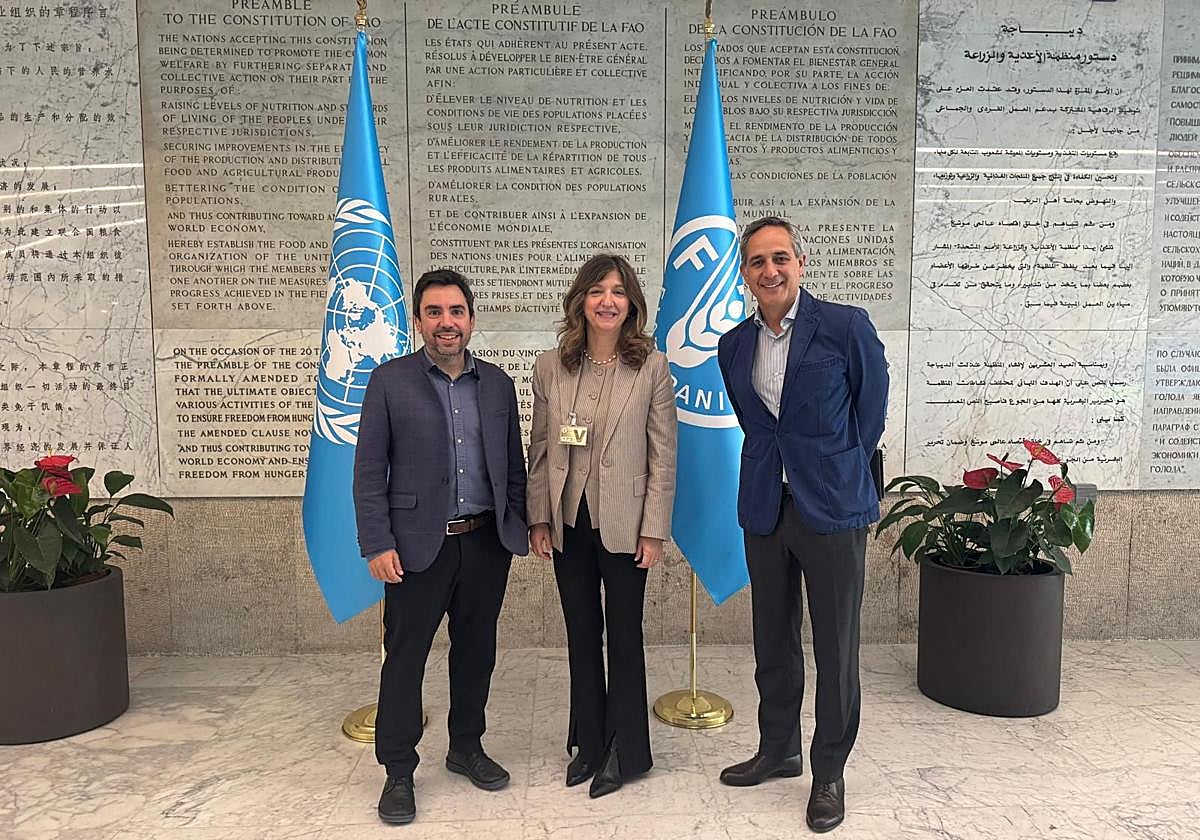 Reunión de la ULE con la FAO.