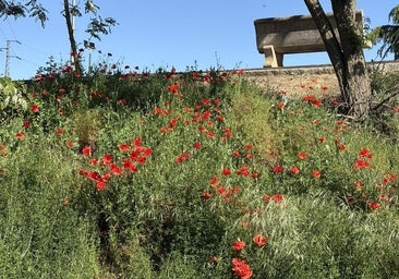 León hace pleno de frío con nueve pueblos entre los diez más fríos de España