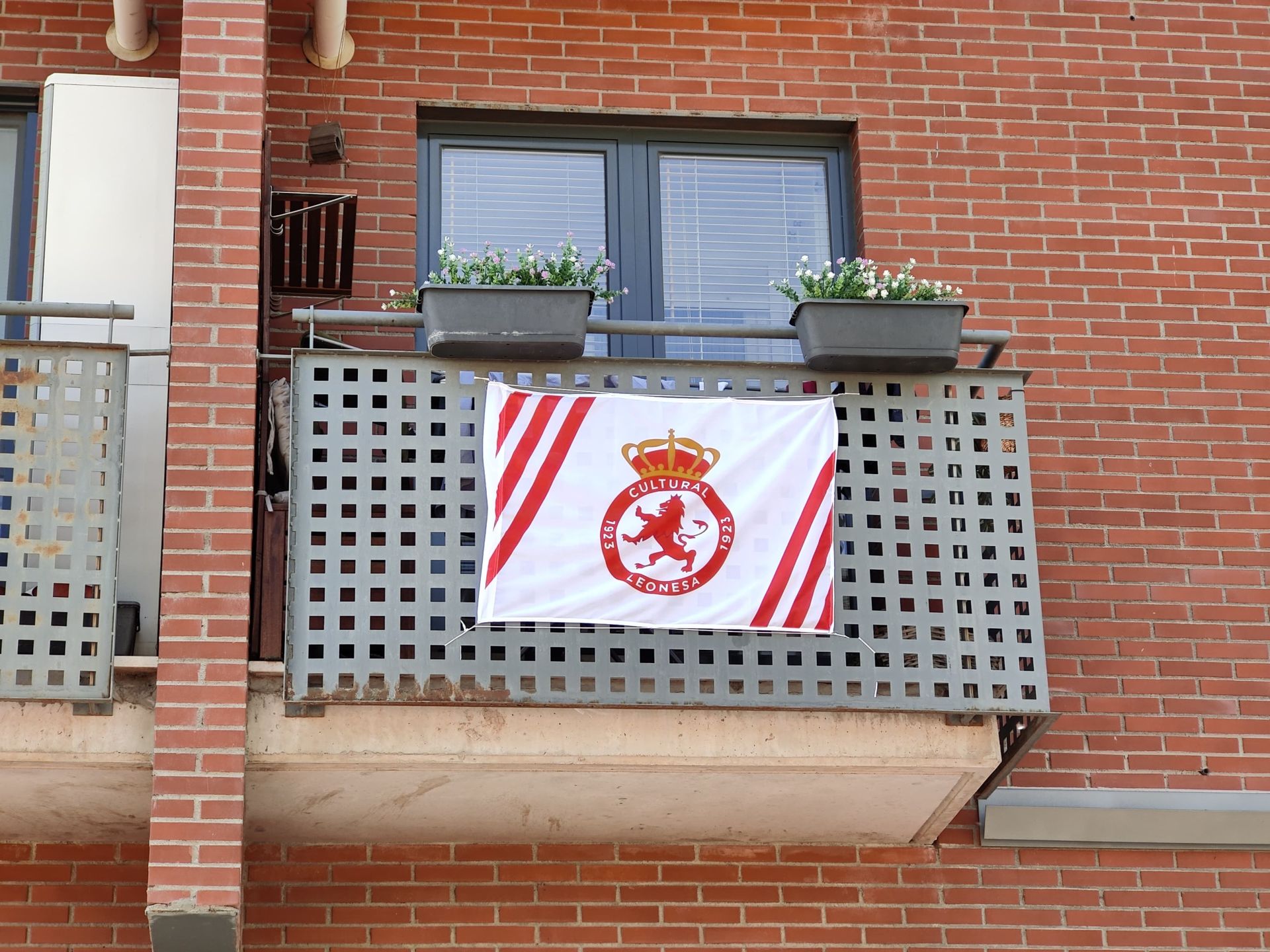 León se tiñe de blanco Cultural