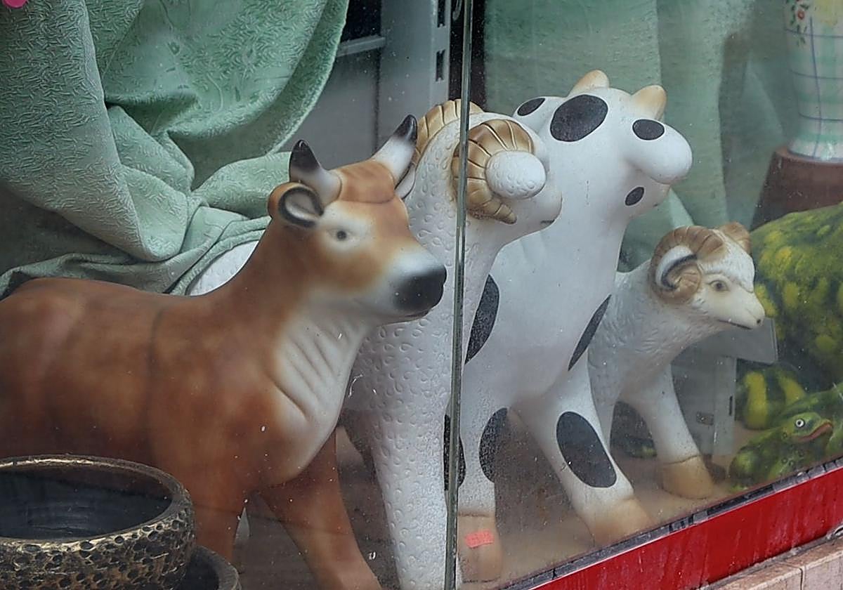 ¿En qué calle de León estoy? (capítulo 7)