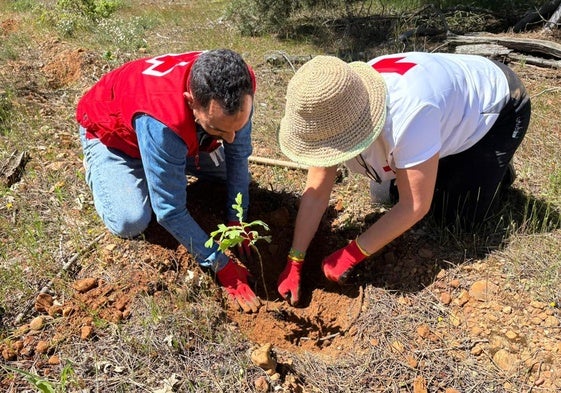 Plantación de un árbol durante 'Replanta Machamama'.