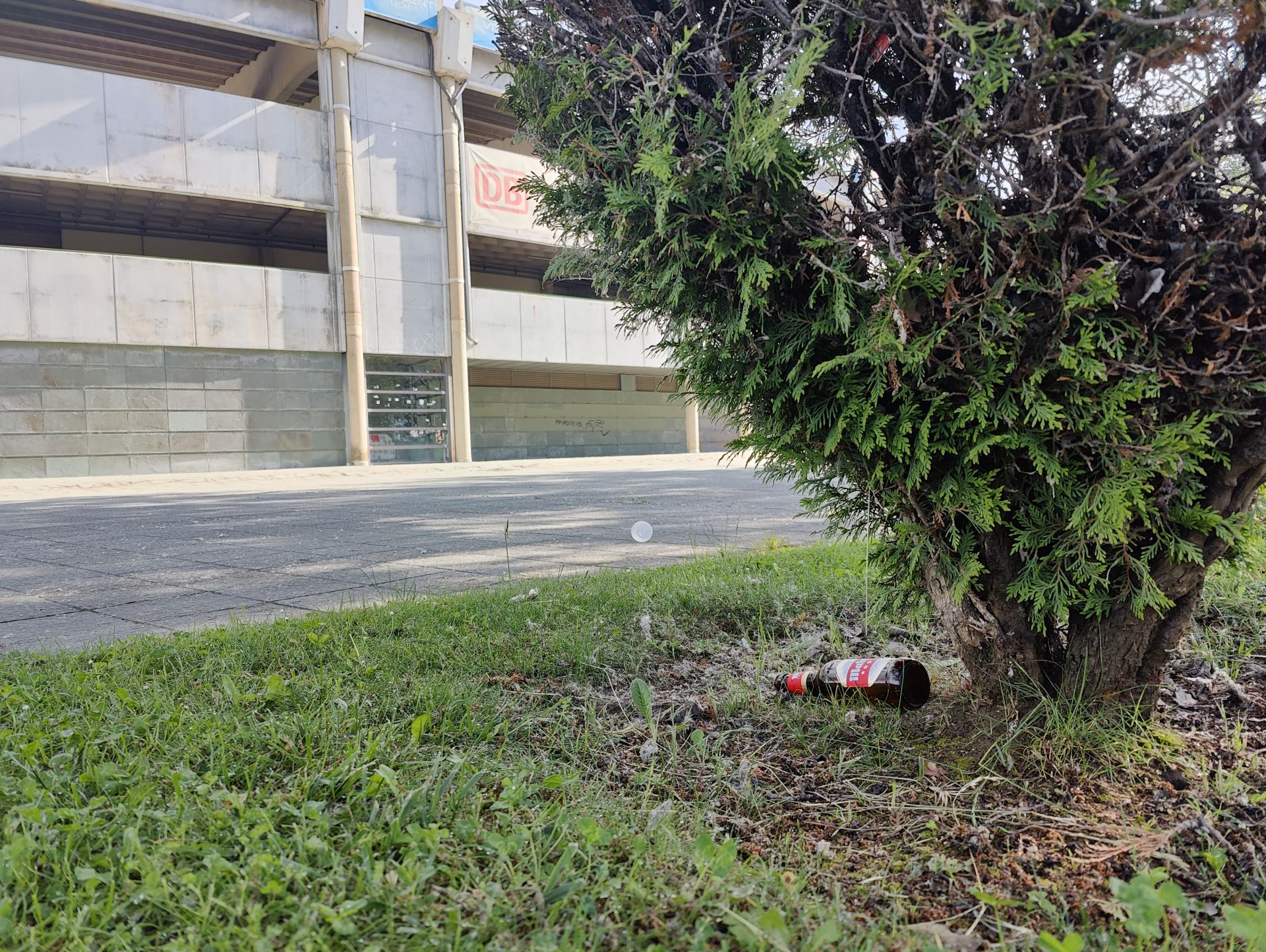Así amanece León tras el ascenso