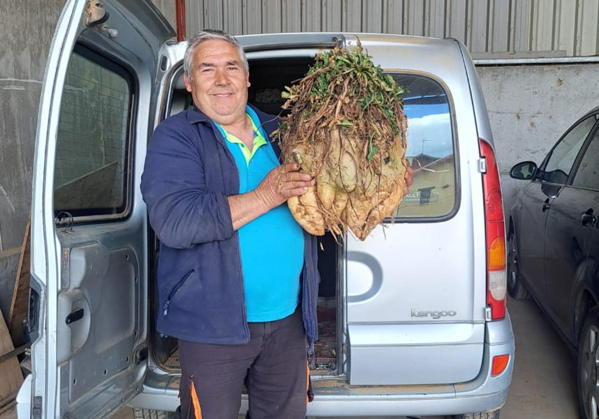 Javi Alonso junto a sus cultivos de remolacha en Audanzas del Valle.