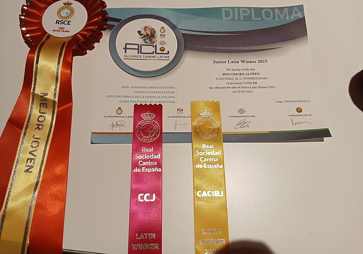 Imagen principal - Alfred, un perro con estrella.