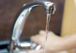Agua del grifo.