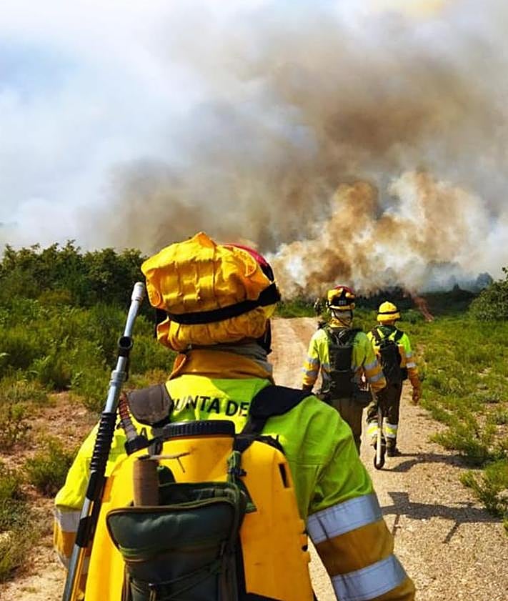 Imagen secundaria 2 - Imágenes de la BRIF de Sahechores de Rueda.