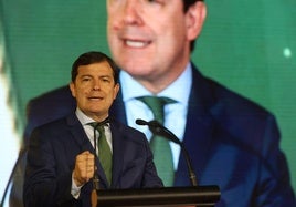 El presidente de la Junta de Castilla y León, Alfonso Fernández Mañueco.