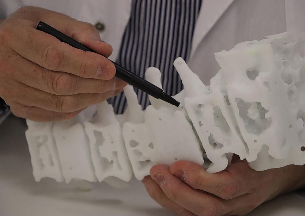 Imagen secundaria 1 - El doctor Mostaza con los biomodelos 3D.