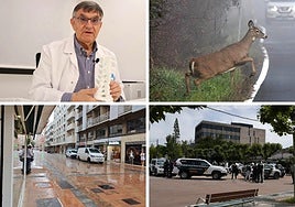 Las imágenes del día.