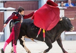 Imagen de un espectáculo taurino.