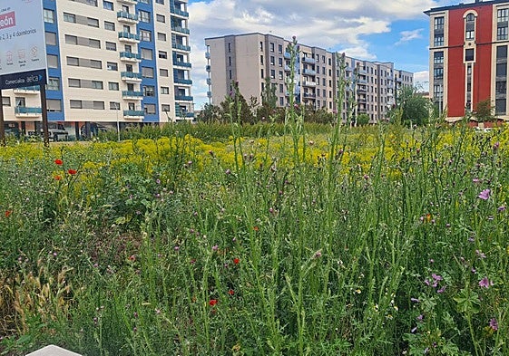 Barrio de La Lastra.