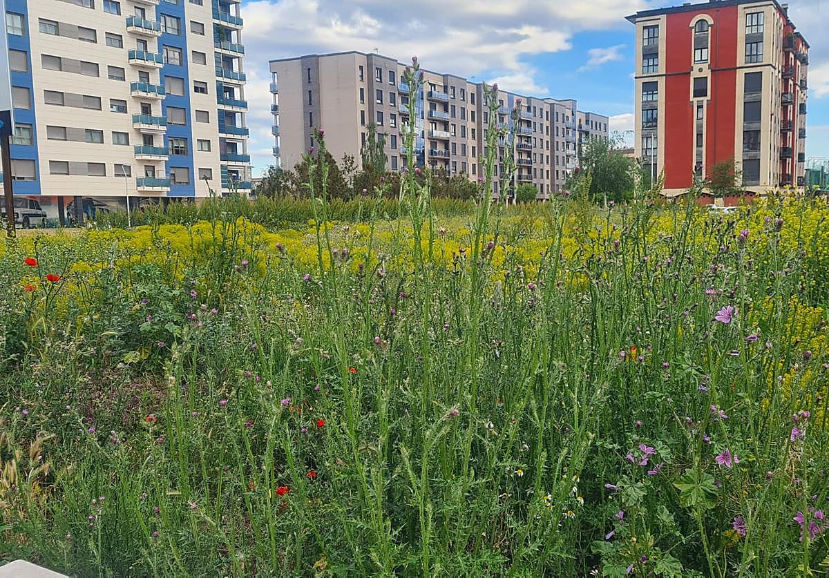Barrio de La Lastra.