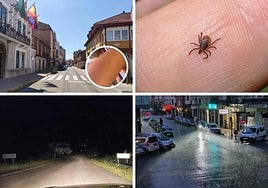 Las imágenes del día.