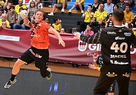 Lindqvist, en una acción del partido.