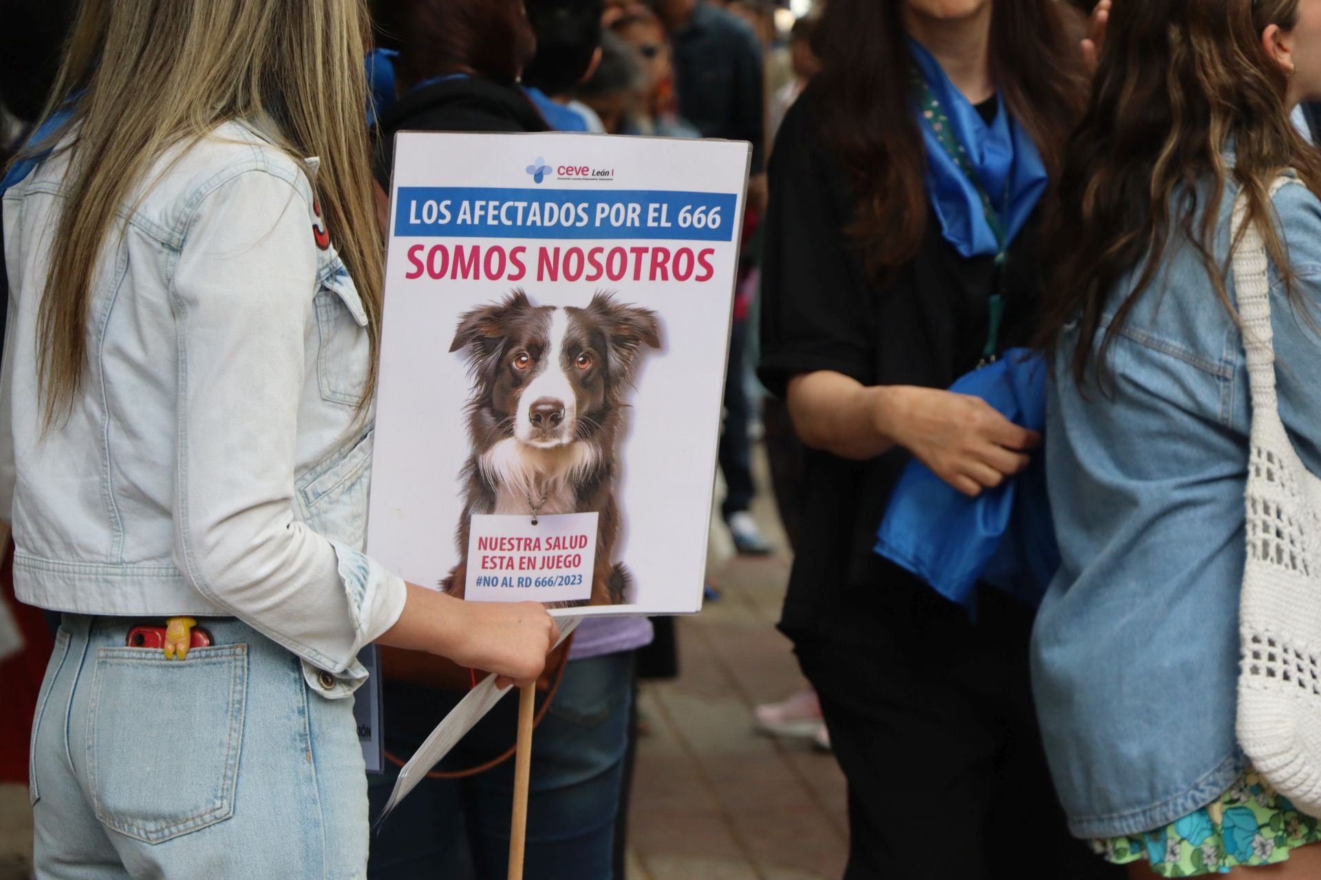 Imágenes de la manifestación veterinaria en León