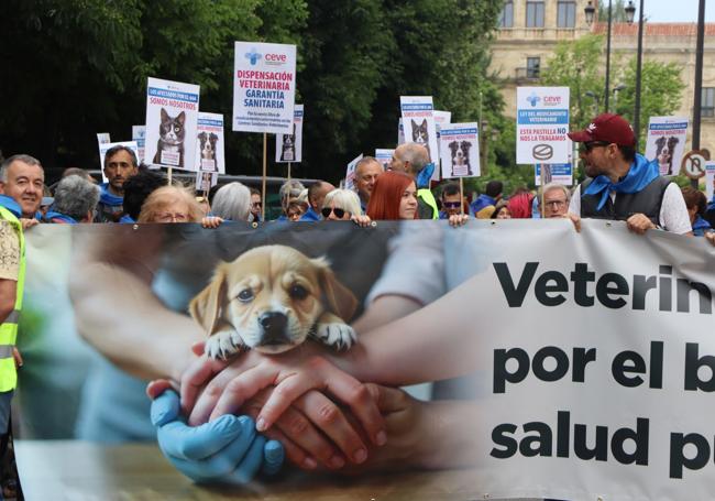 Todas las imágenes de la manifestación.