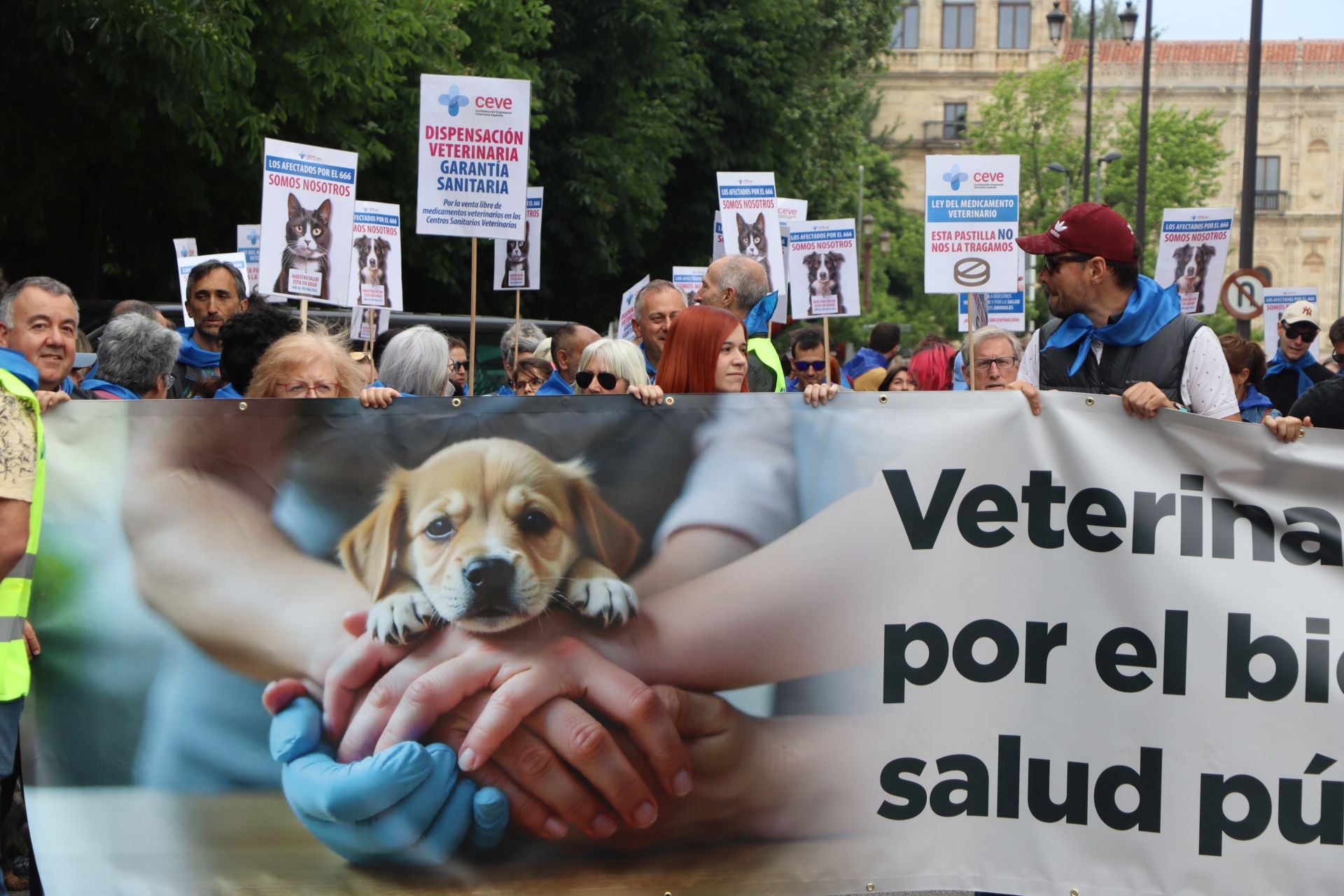 Imágenes de la manifestación veterinaria en León