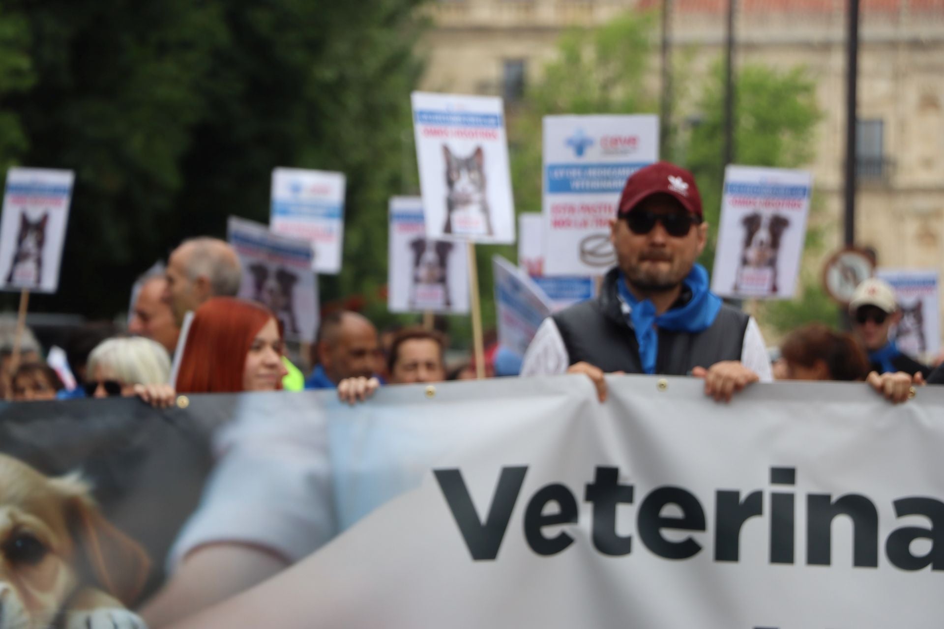 Imágenes de la manifestación veterinaria en León