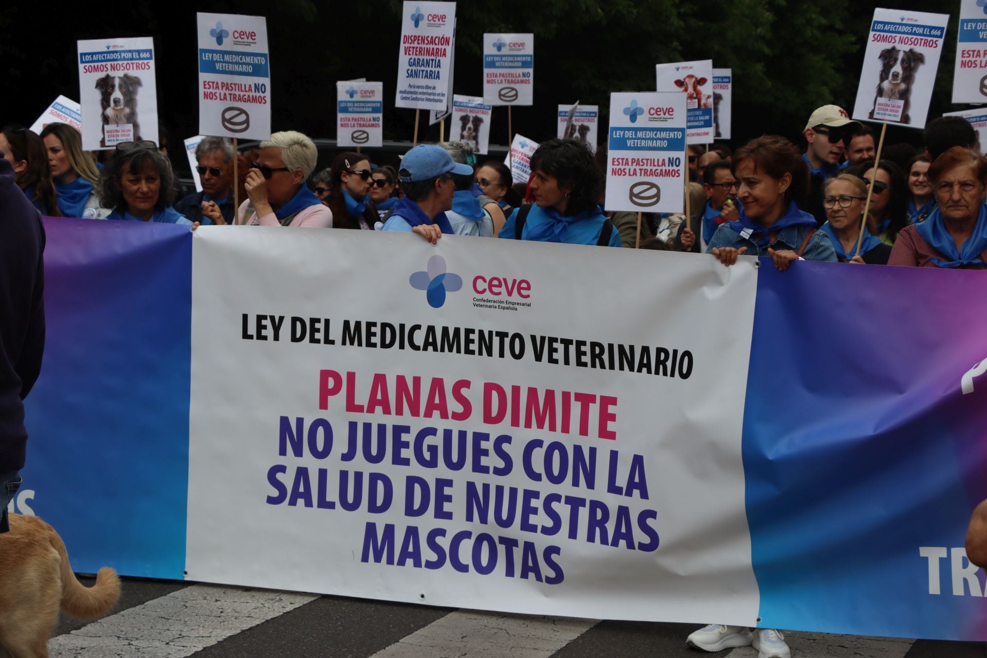Imágenes de la manifestación veterinaria en León