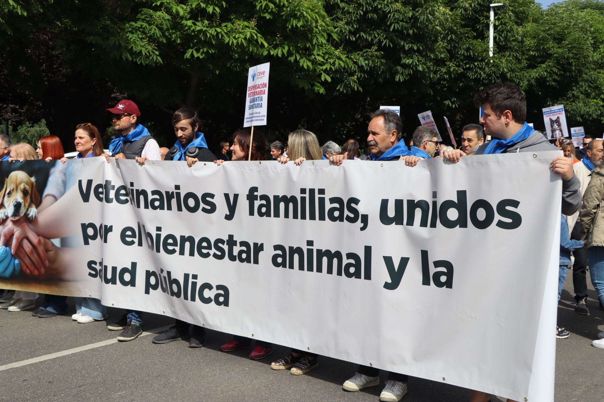 Imágenes de la manifestación veterinaria en León
