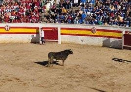 Piden a Sahagún ocio familiar en lugar de descuentos infantiles para toros